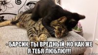  - барсик, ты вредный, но как же я тебя люблю!!!