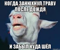 когда занюхнул траву после дождя и забыл куда шёл
