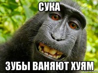 сука зубы ваняют хуям