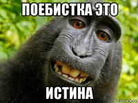 поебистка это истина