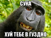 сука хуй тебе в гуздно
