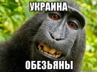 украина обезьяны