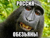 россия обезьяньі