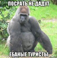 посрать не дадут ебаные туристы