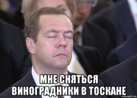  мне сняться виноградники в тоскане