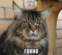 ты говно