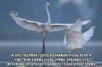 игорь губерман теперь я понимаю очень ясно, и чувствую и вижу очень зримо: неважно, что мгновение прекрасно, а важно, что оно неповторимо
