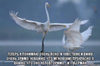  теперь я понимаю очень ясно, и чувствую и вижу очень зримо: неважно, что мгновение прекрасно, а важно, что оно неповторимо... и. губерман