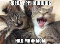 когда ррржошшшь над мииимом