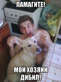 памагите! мой хозяин дибил!