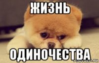 жизнь одиночества