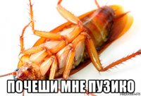  почеши мне пузико