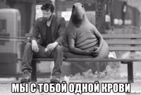  мы с тобой одной крови