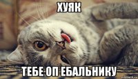 хуяк тебе оп ебальнику