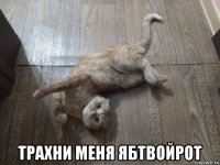  трахни меня ябтвойрот