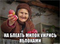  на блеать милок ужрись яблоками