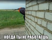  когда ты не работаешь