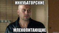 инкубаторские млекопитающие
