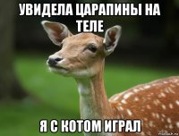 увидела царапины на теле я с котом играл