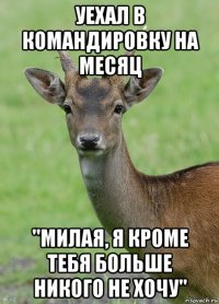 уехал в командировку на месяц "милая, я кроме тебя больше никого не хочу"