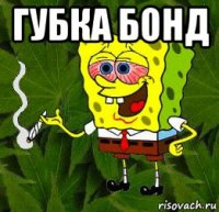губка бонд 