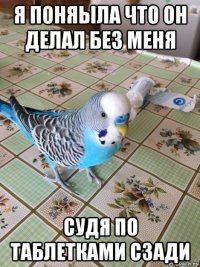 я поняыла что он делал без меня судя по таблетками сзади