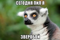 сегодня пил я зверобой