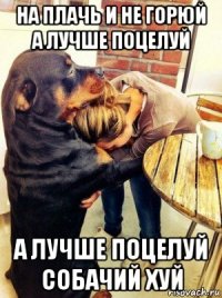 на плачь и не горюй а лучше поцелуй а лучше поцелуй собачий хуй