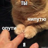 ты я