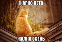 жарко лето жалко осень