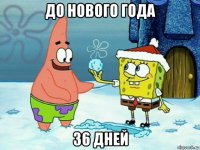 до нового года 36 дней