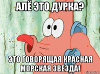 алё это дурка? это говорящая красная морская звезда!