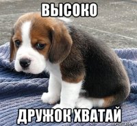 высоко дружок хватай