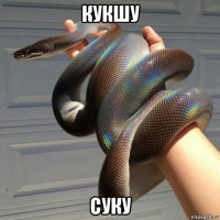 кукшу суку