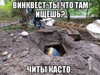 винквест, ты что там ищешь? читы касто..