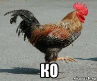  ко