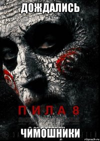 дождались чимошники