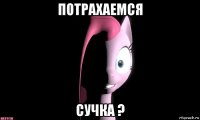 потрахаемся сучка ?