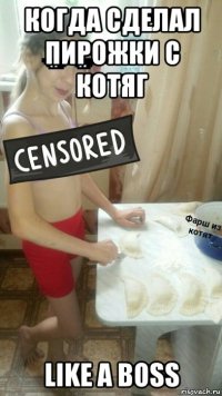 когда сделал пирожки с котяг like a boss
