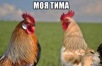 моя тима 