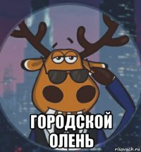  городской олень