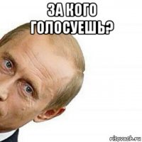 за кого голосуешь? 