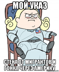 мой указ стена от мигрантов и гонка через америку