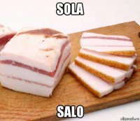 sola salo