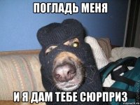 погладь меня и я дам тебе сюрприз