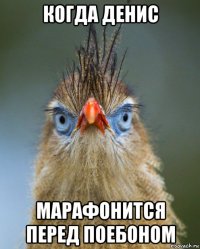 когда денис марафонится перед поебоном