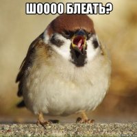шоооо блеать? 