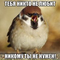тебя никто не любит никому ты не нужен!