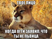 твое лицо когда огги заявил, что ты не львица