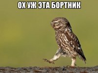 ох уж эта бортник 